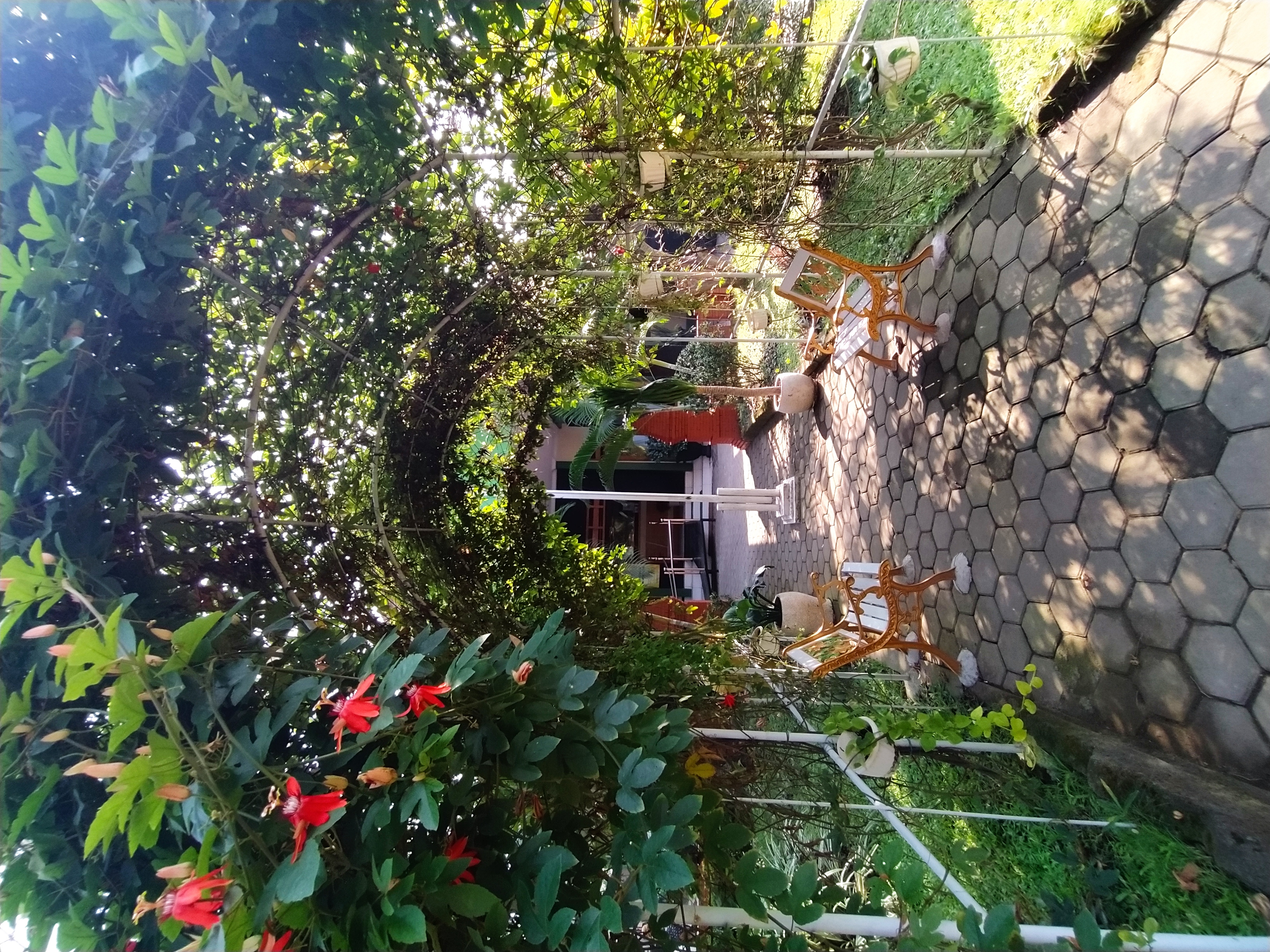 Demo Image
